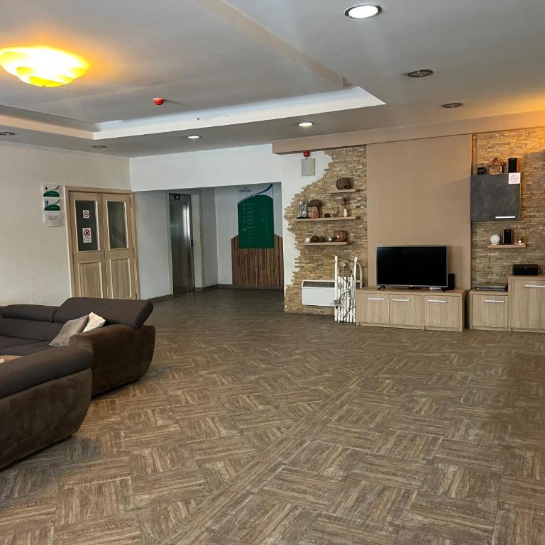Vila Kopaonik Apartmani Milenkovic - Standardni Trokrevetni Studio - 38