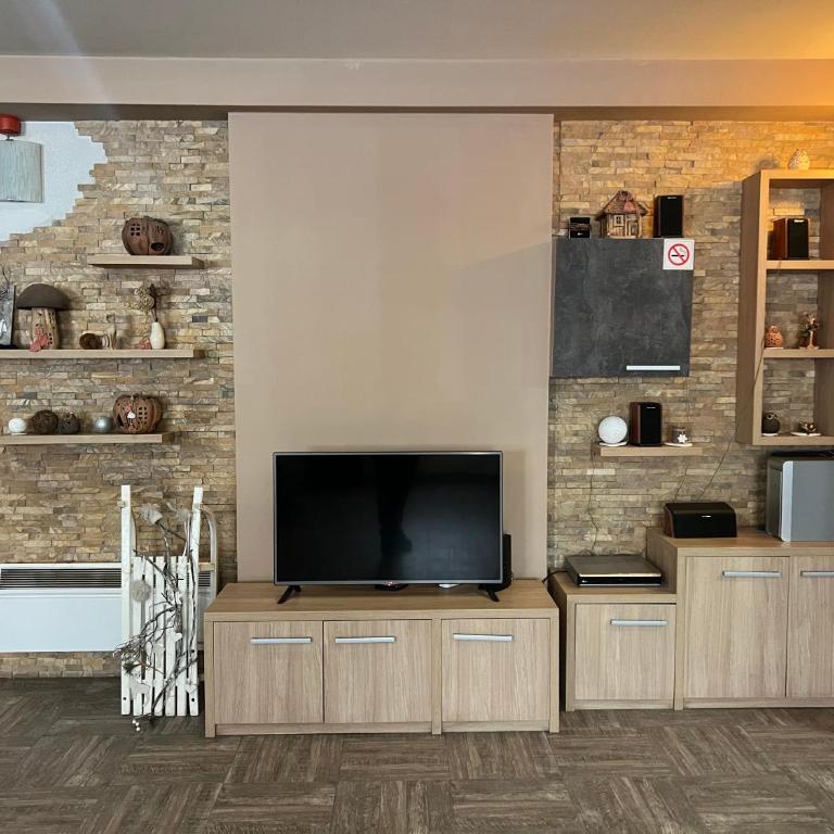 Vila Kopaonik Apartmani Milenkovic - Standardni Trokrevetni Studio - 39