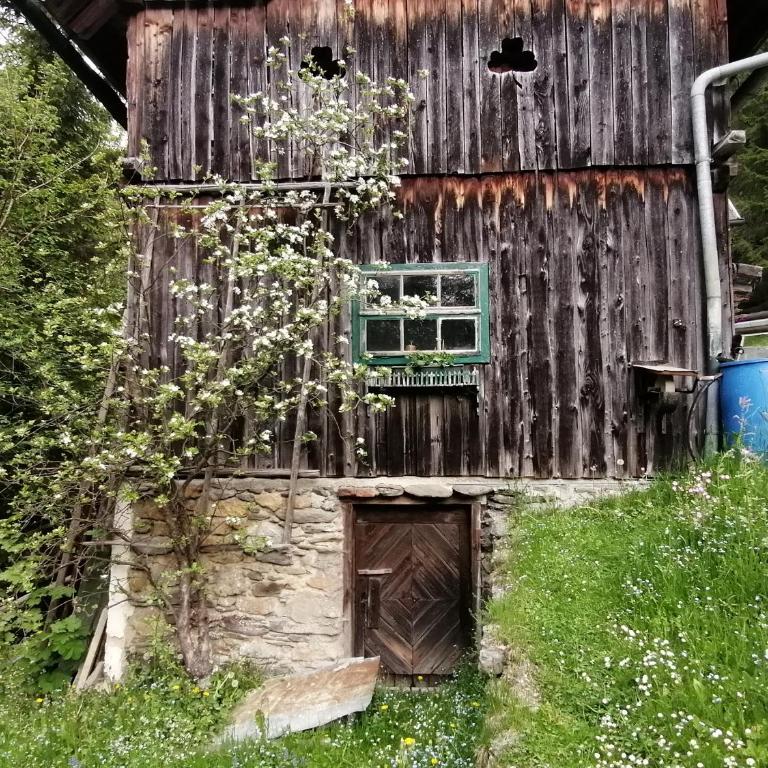 Waldhaus Klein-Veitsch, Auszeit im Grünen - Apartment mit 1 Schlafzimmer - 23