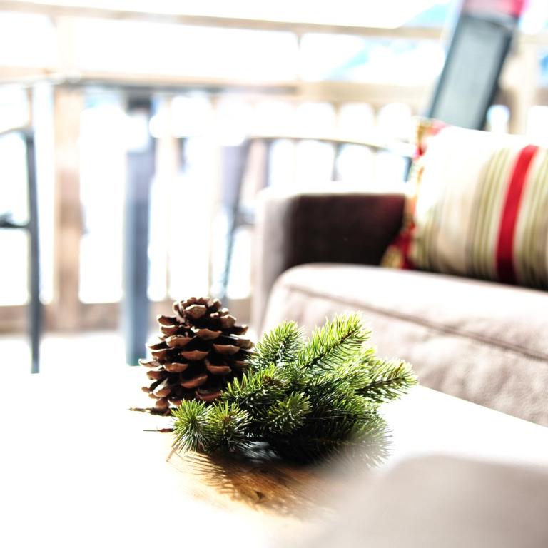 Tschuggmall Appartements - Appartamento con 3 Camere da Letto - 2 - 2