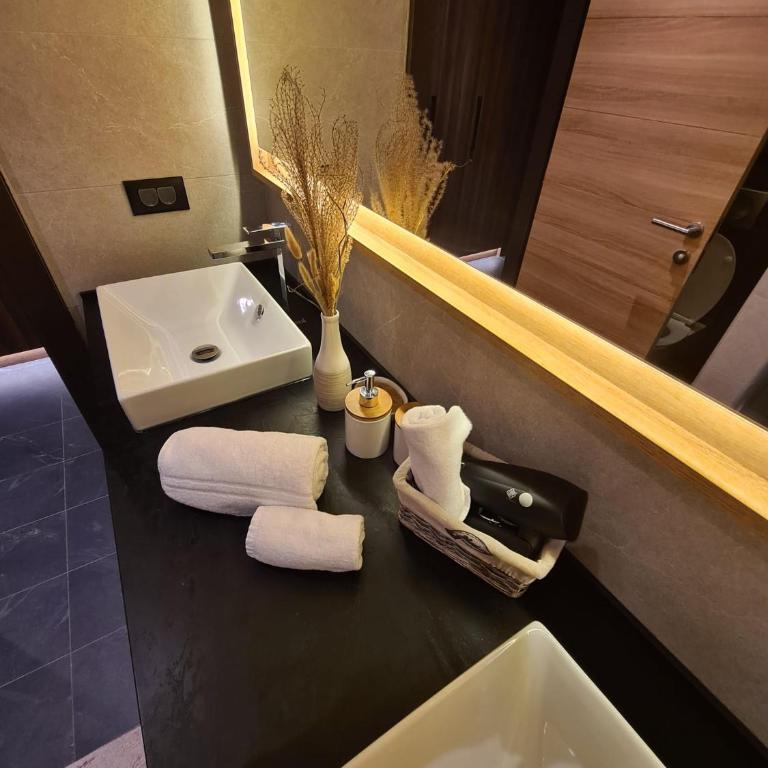WOODSIDE - Luxury Apartment & SPA - Apartman sa 1 Spavaćom Sobom - 26