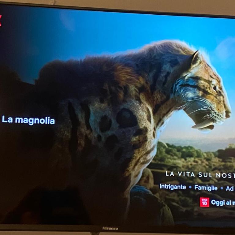 La Magnolia 140 - Camera Deluxe (2 Adulti + 1 Bambino) - 18