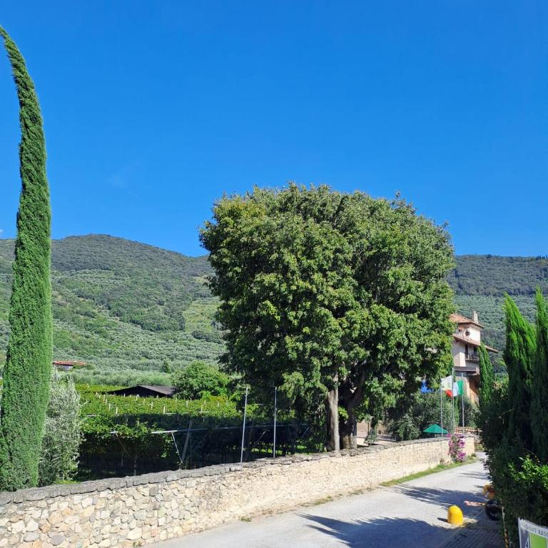 CASA degli OLIVI GARDA LAKE - Appartamento con 2 Camere da Letto - 27