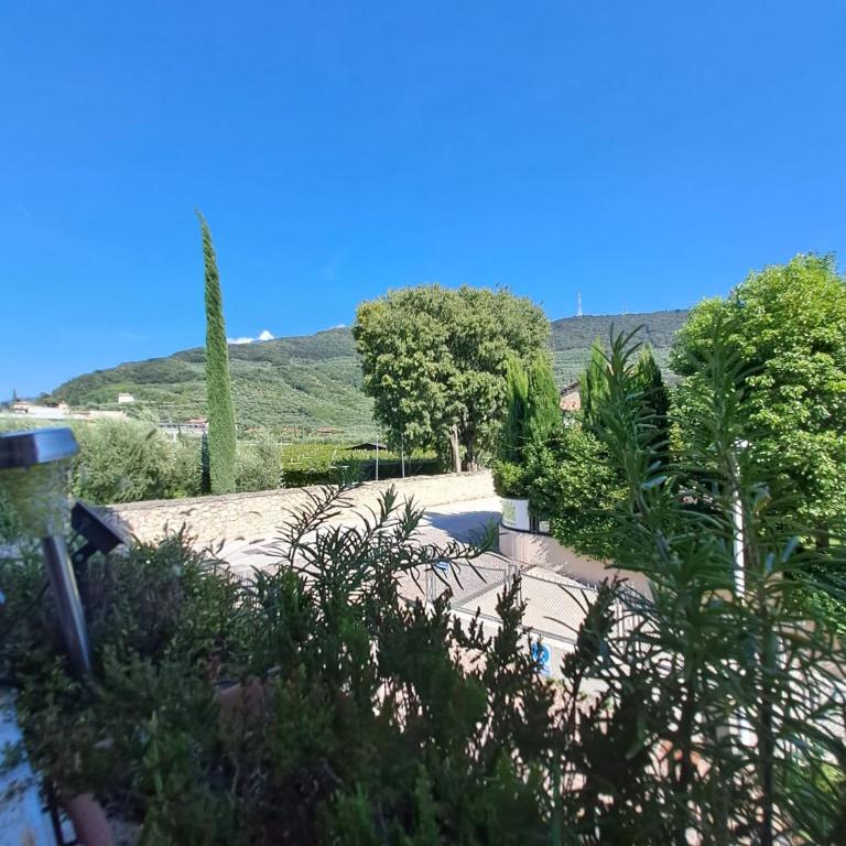 CASA degli OLIVI GARDA LAKE - Appartamento con 2 Camere da Letto - 18