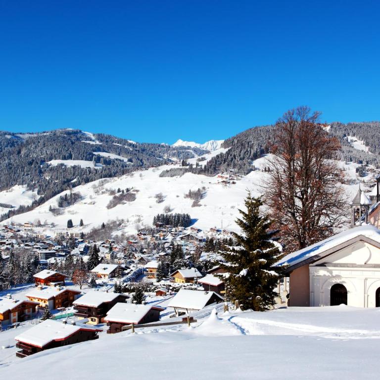 Chalet Albert 1 er Megeve village - Chalet - 42