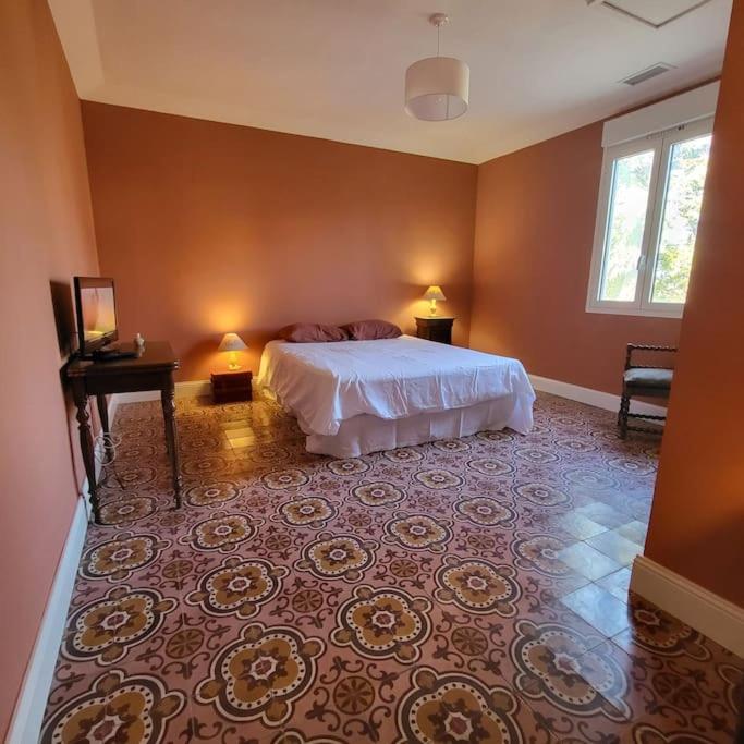 Villa les Tilleuls - Arènes de Béziers - Maison 1 Chambre - 4
