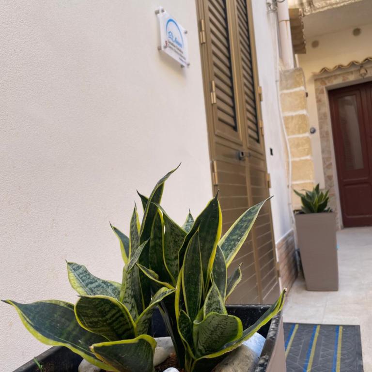 Anna Location Turistica - Appartement 1 Chambre - 16