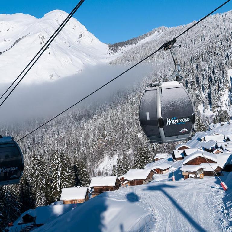 Chalet Adonis - Montriond, Morzine, Avoriaz - Chalet - 70