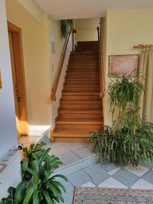 2 Zimmer Wohnung in Thermennähe für 4 Personen - Appartement 2 Chambres - 6