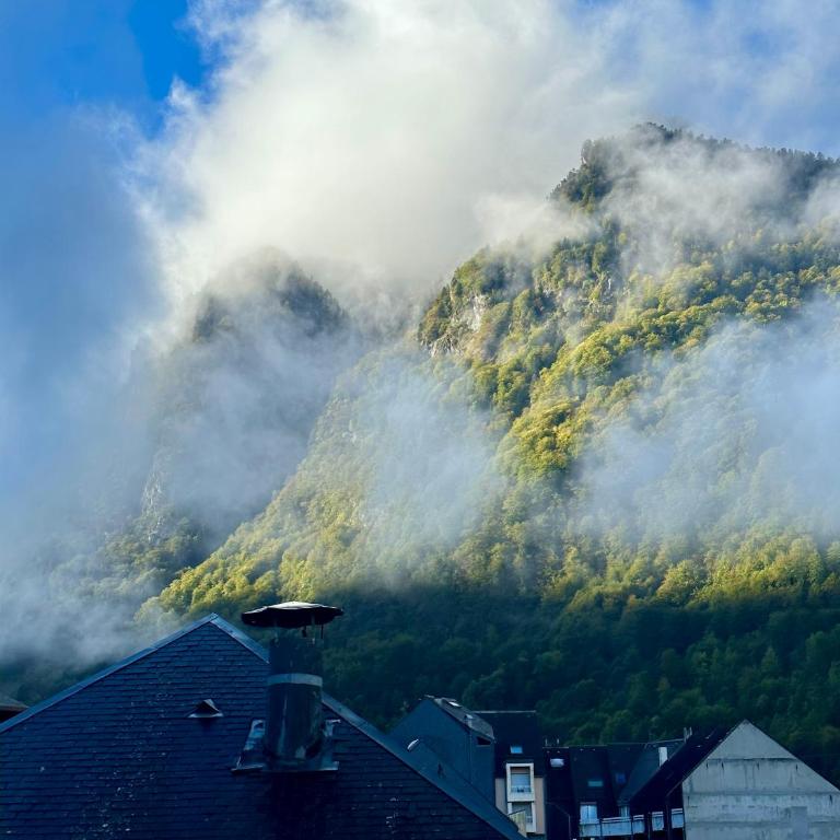 LE LAC BLEU - Duplex au pied des remontées mécaniques - Appartement 1 Chambre - 4