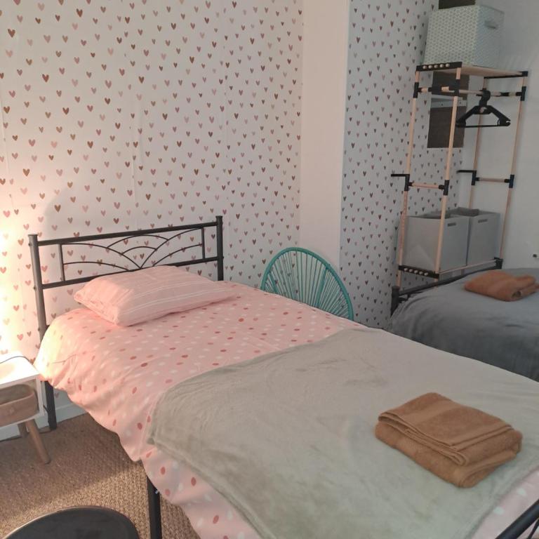 Atypique Saumur 80 m2 joli appartement 2 à 7 pers familial rénové entier 3 chambres hyper centre - Appartement 3 Chambres - 9
