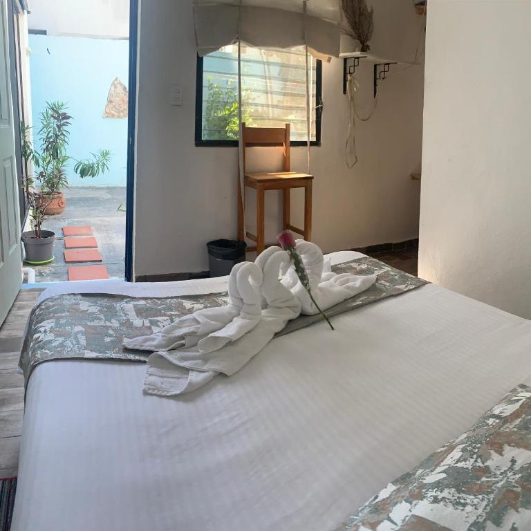 Ocean View PLAYA DEL NIÑO Rooms & Apartments - Double Room - 2