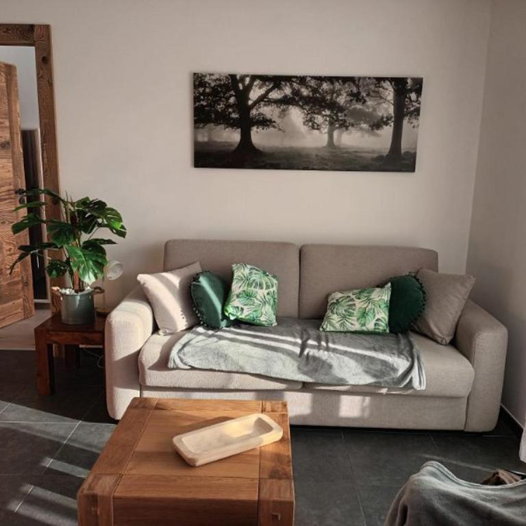 Les rives de la jamagne - Appartement 1 Chambre - 40