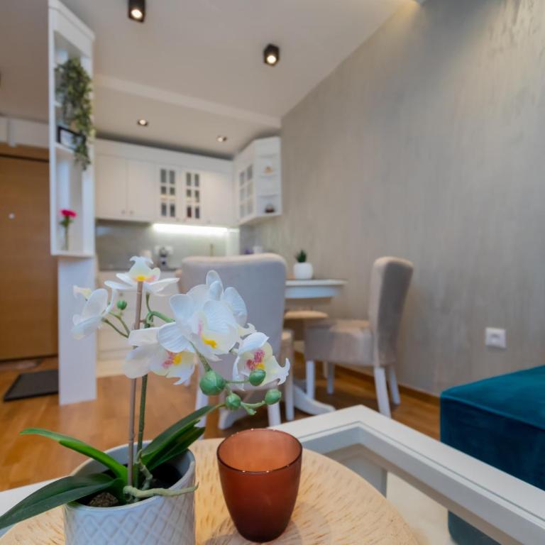 Apartman Lukić, Vila Elsa 2 - One-Bedroom Apartment - 12