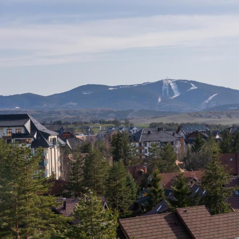 Apartman Lukić, Vila Elsa 2 - One-Bedroom Apartment - 24