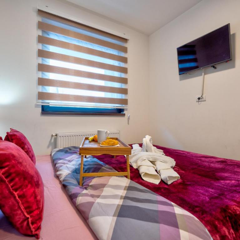 AROMA apartmani - Apartman sa 1 Spavaćom Sobom - 7