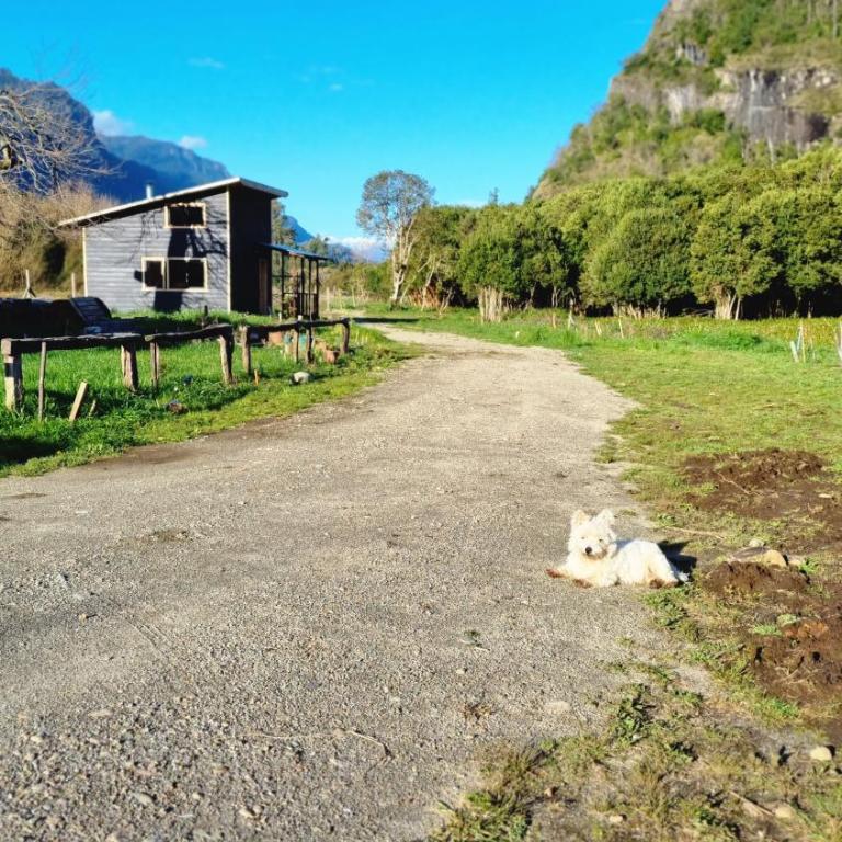 Cabaña en Llifen - One-Bedroom Chalet - 5