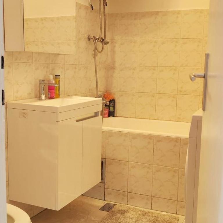 Apartman Barbarosa - Balcony, Belgrade Center, Kalemegdan - Apartman sa 1 Spavaćom Sobom - 12