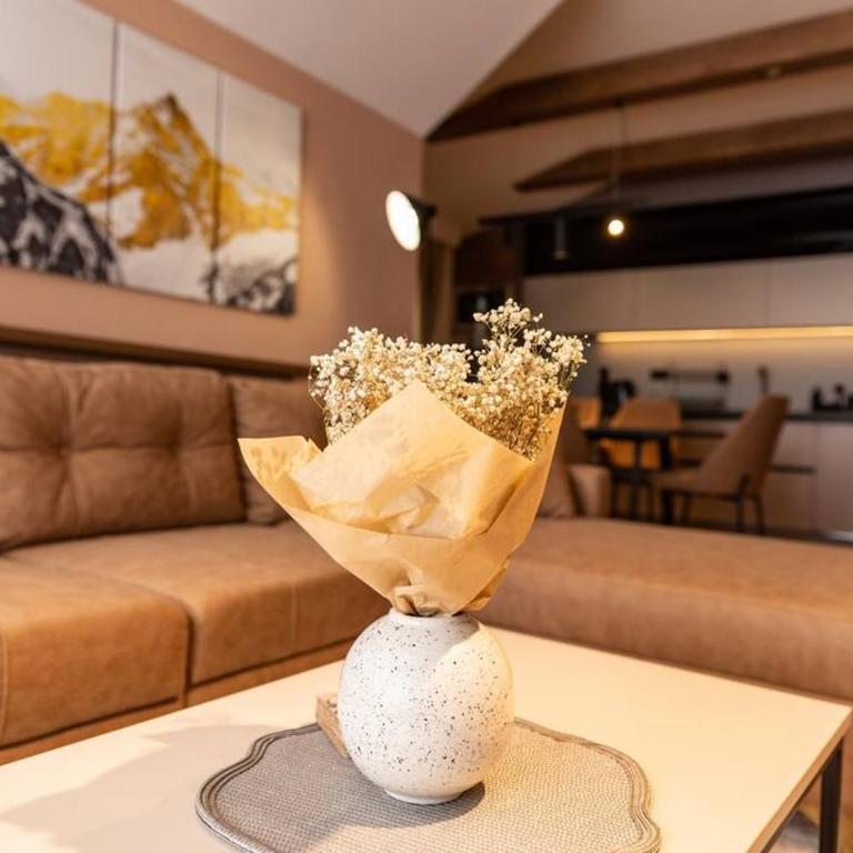 Villa Selzo lux - Three-Bedroom Villa - 36