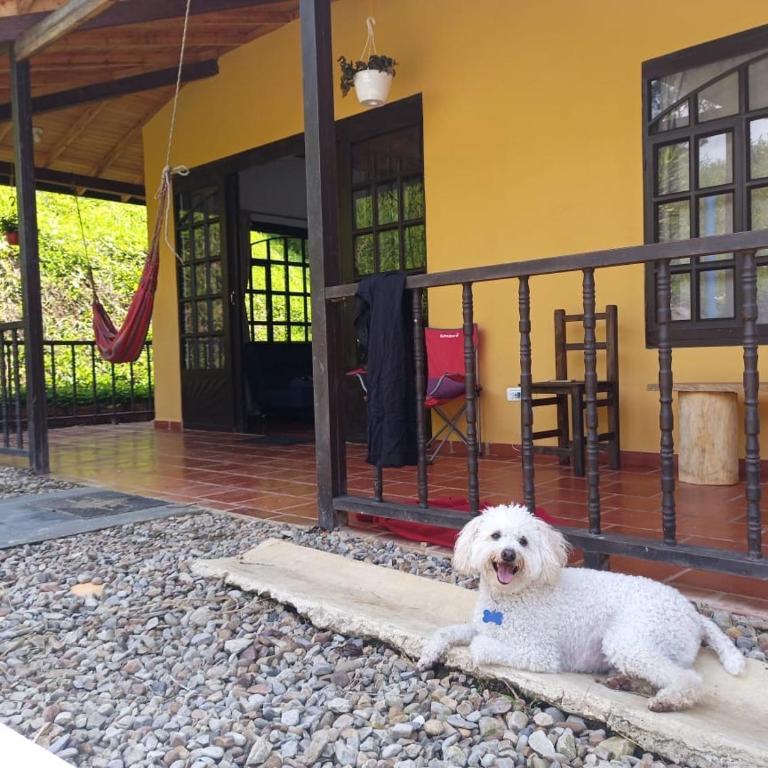 Casas De Campo - El Paraíso - Casa de 2 dormitorios - 15