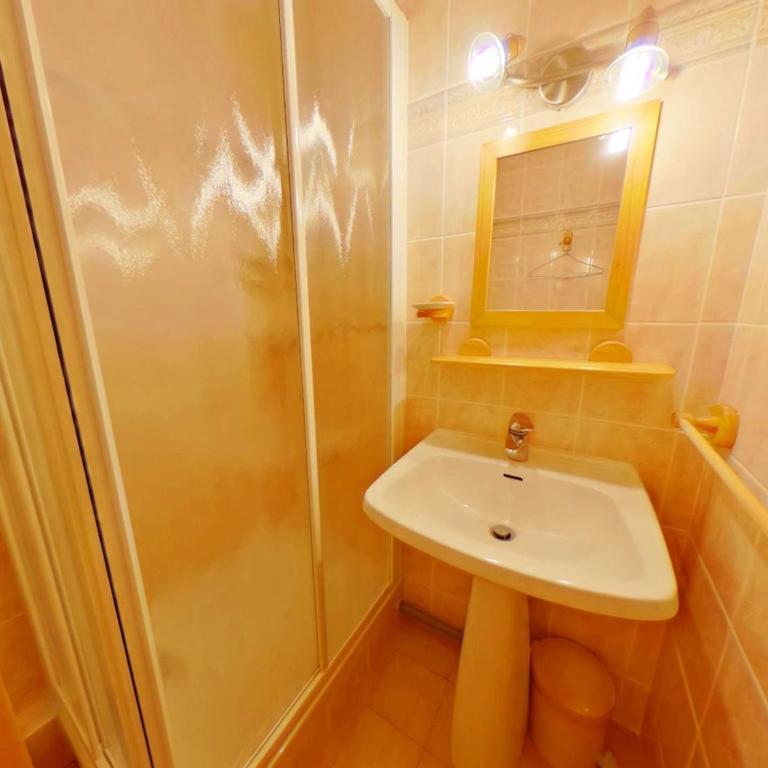 Studio cabine Les Saisies 4 pers, proche pistes - Appartement 1 Chambre - 13