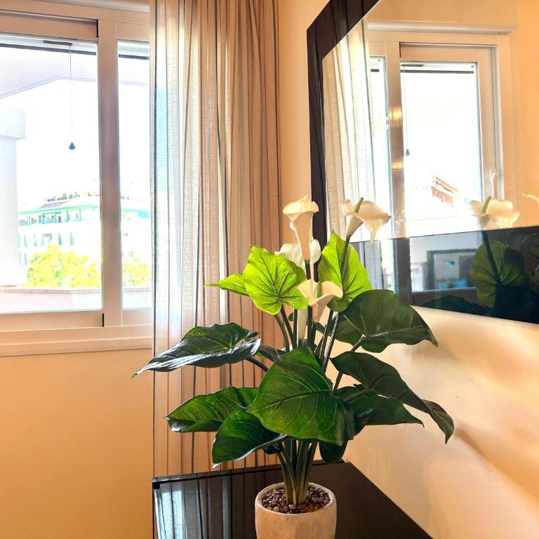 Spacious, comfortable and close to the beach - Three-Bedroom Apartment - 19