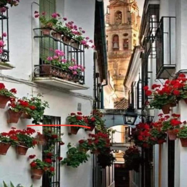 APARTAMENTO LA MAGDALENA - One-Bedroom Apartment - 12