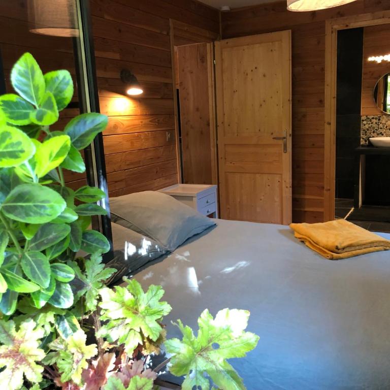 LES ACACIAS - Appartement avec Vue sur la Montagne - 3