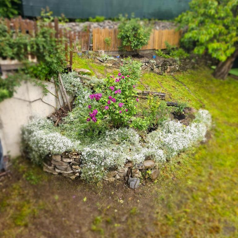 La BREZOUNIÉRE 2 - Villa Supérieure - 39