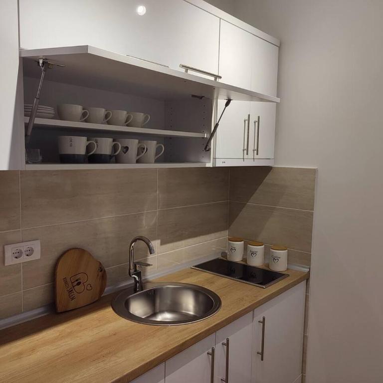 Apartman S16 Vrnjačka Banja - Apartman sa 1 Spavaćom Sobom - 7
