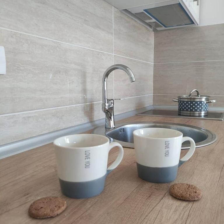 Apartman S16 Vrnjačka Banja - Apartman sa 1 Spavaćom Sobom - 6