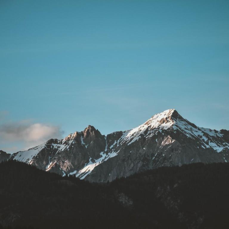 Zlatiborski apartmani - Apartman sa 1 Spavaćom Sobom - 2