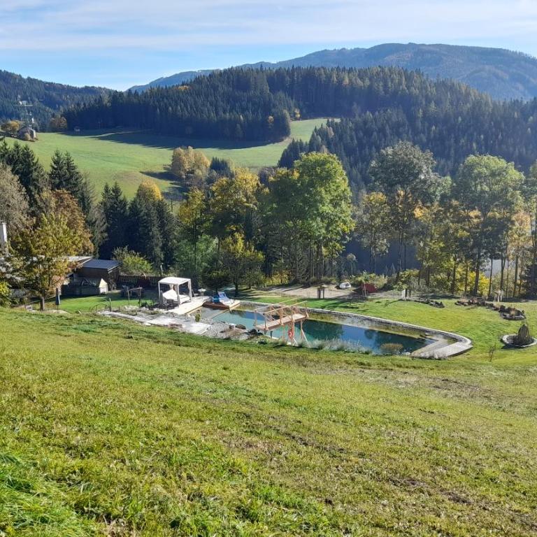 Ferienhaus Pliescherhof - Ferienhaus - 19