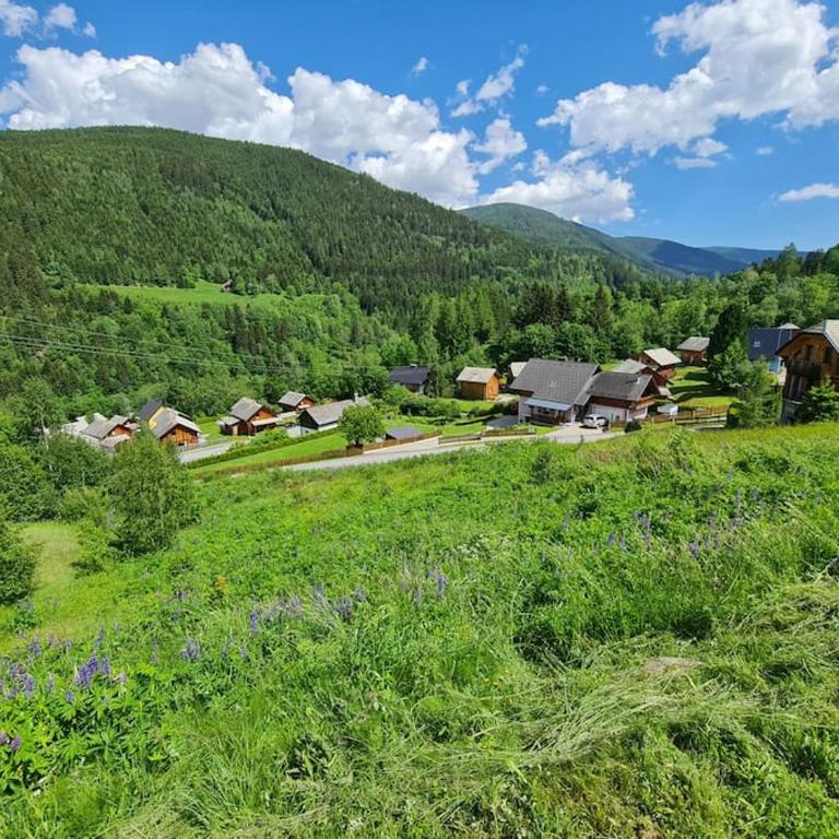 PAAL 162 - Tolle Aussicht, 2 Terasssen, Großes Grundstück - Ferienhaus - 54