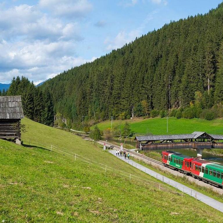 PAAL 162 - Tolle Aussicht, 2 Terasssen, Großes Grundstück - Ferienhaus - 49