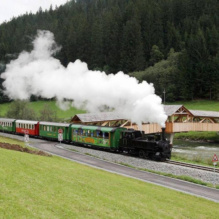 PAAL 162 - Tolle Aussicht, 2 Terasssen, Großes Grundstück - Ferienhaus - 55