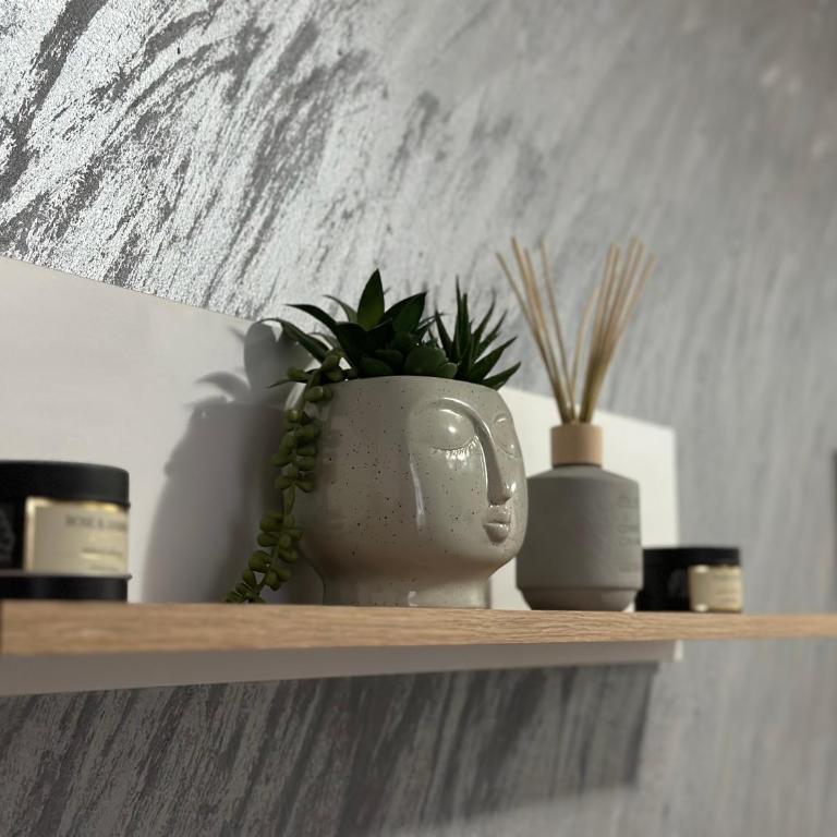 Wolf Street Apartment - Apartman sa 1 Spavaćom Sobom - 27