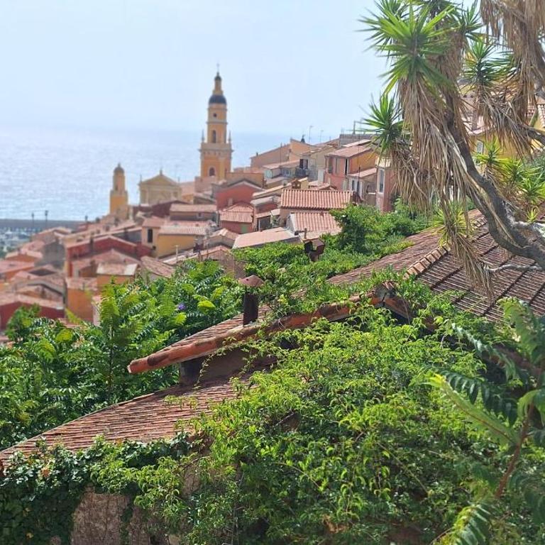 Studio lumineux avec stationnement proche Monaco, Nice, plage et gare - One-Bedroom Apartment - 17