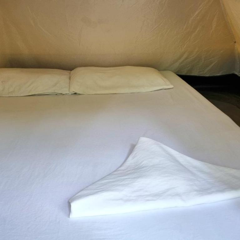 Eco-Camping El Frutal - Tienda - 5