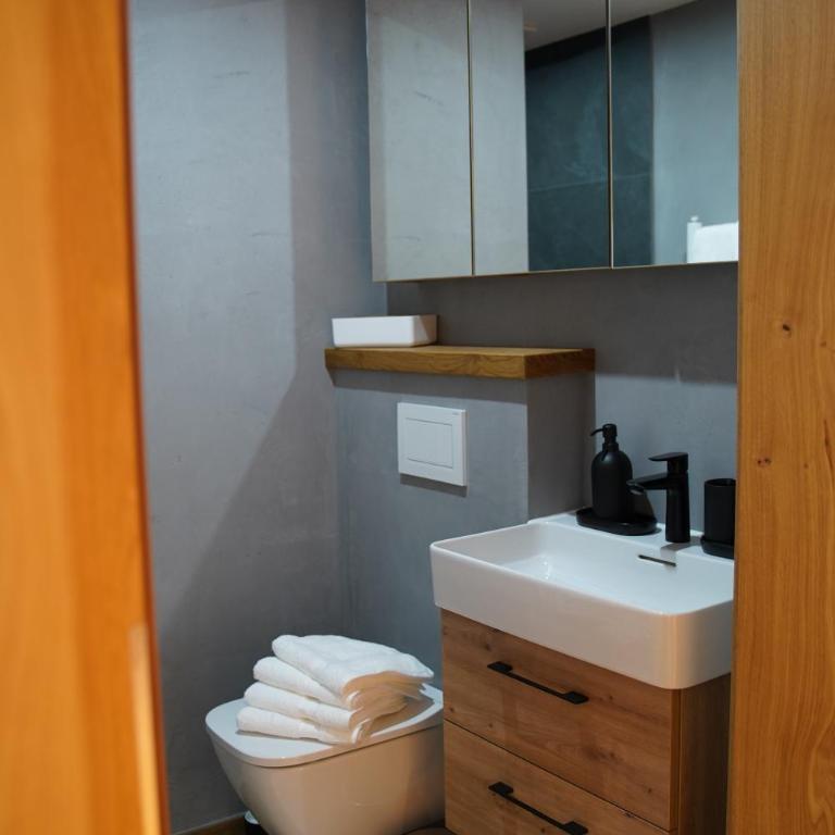 Alpenchalet zurHinterochsenweide SKI IN & SKI OUT - Apartment mit 2 Schlafzimmern und Dusche - 9