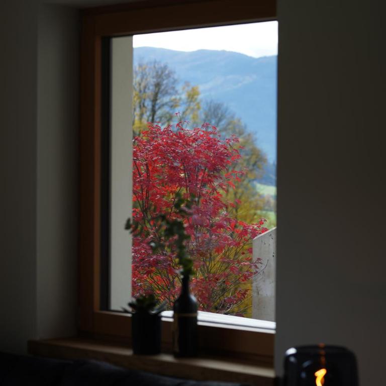 Alpenchalet zurHinterochsenweide SKI IN & SKI OUT - Apartment mit 2 Schlafzimmern und Dusche - 27