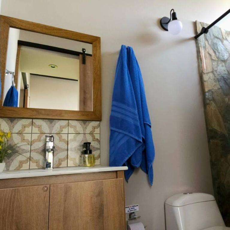 Luna Llena Cabaña Campestre - Casa con 1 dormitorio - 17