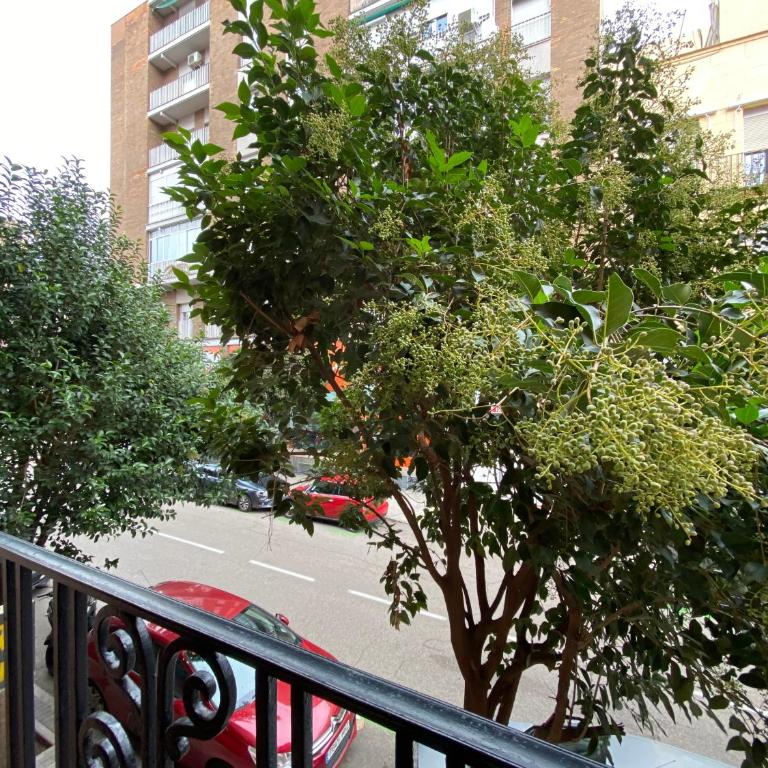 Puerta de Toledo VII - Apartamento de 2 dormitorios con Balcón - Two-Bedroom Apartment - 26