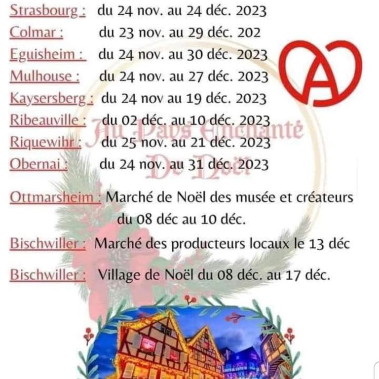 Appartement spacieux MULHOUSE - Apartment mit 1 Schlafzimmer - 23