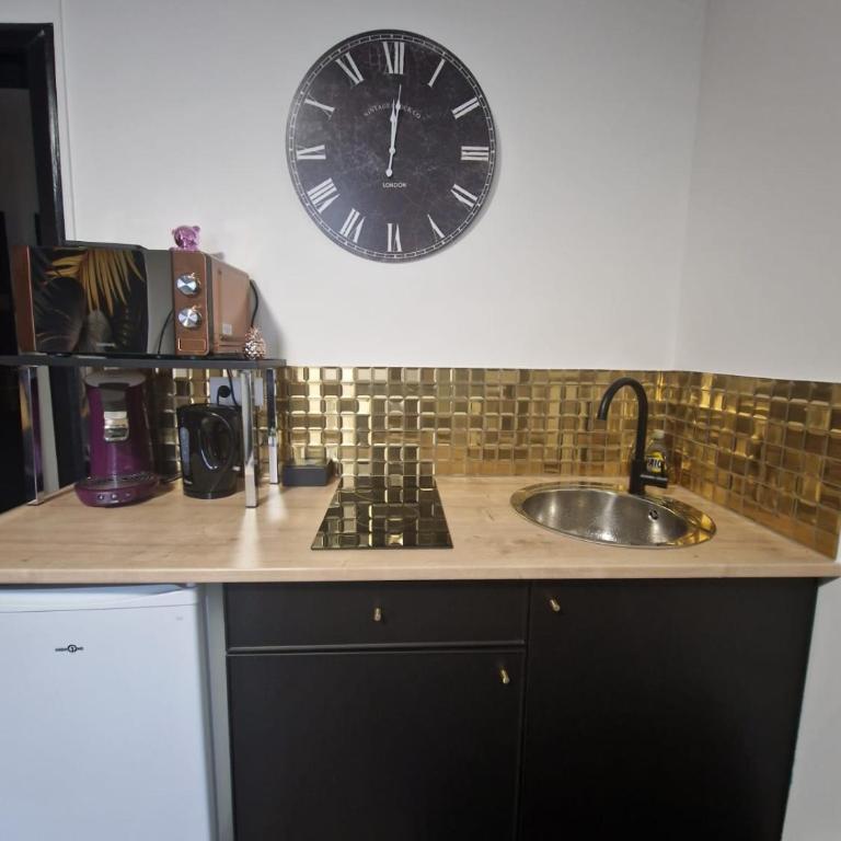 Appartement spacieux MULHOUSE - Apartment mit 1 Schlafzimmer - 11