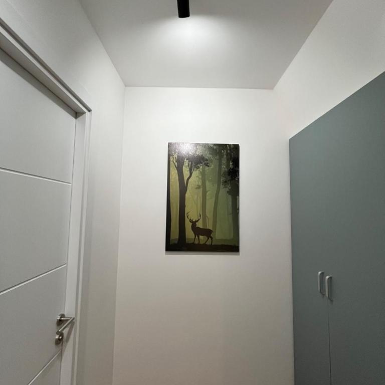 Apartman Lara - Divčigora - Superior Apartman - 29