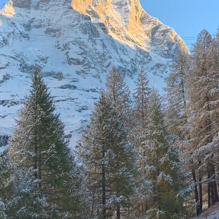 White Star Cervinia - Stunning Matterhorn View with Terrace and Private Parking - Appartamento con 1 Camera da Letto - 74