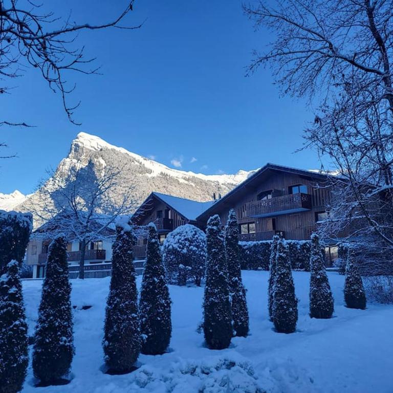 A1/2, 3 bedroom apartment next to the ski lift - Appartement 3 Chambres - 3