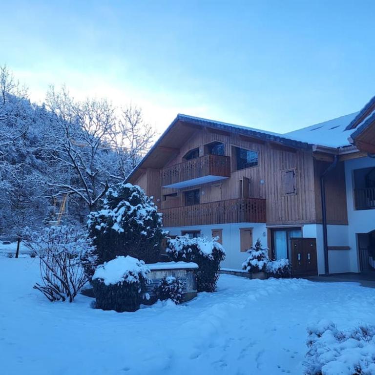 A1/2, 3 bedroom apartment next to the ski lift - Appartement 3 Chambres - 6