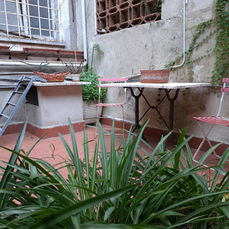 HOUSE UP TO THE HILL - stanza con soggiorno a Monteverde vecchio - Appartamento con Vista Giardino - 6
